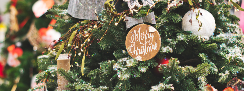 Duck Yuletide Celebration