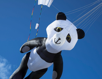 Kite Festival Teaser Kite Festival Teaser