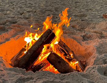 Image of logs burning on a beach.