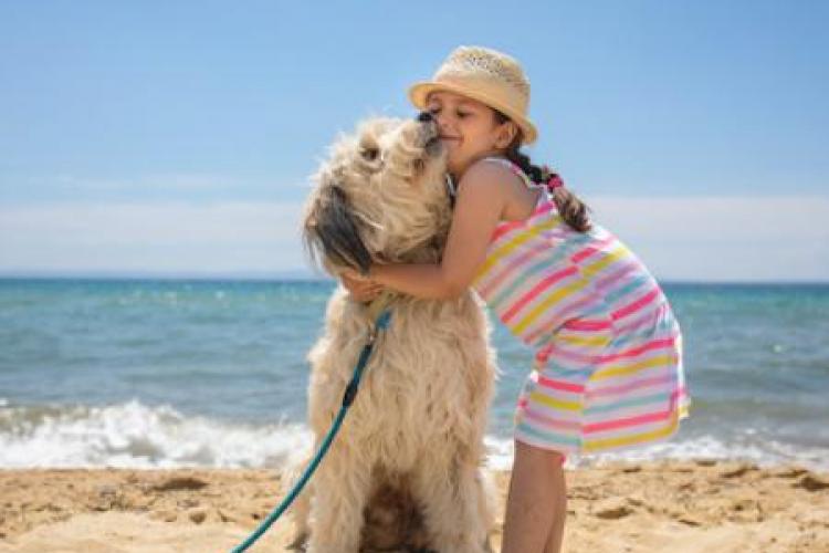 pet friendly obx rentals