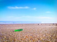 Beachcombing On The Outer Banks