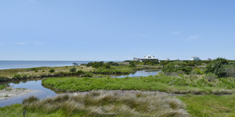 Dolfin's Folly Swamp View