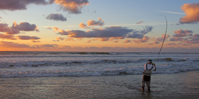 Surf Fishing