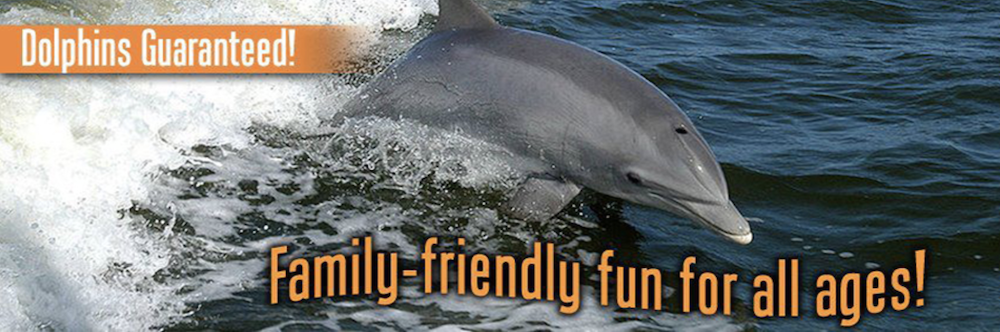 captain johnnys dolphin tours