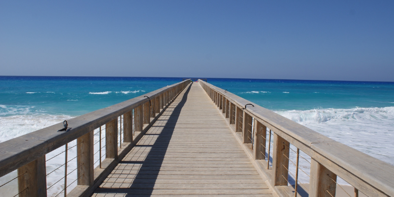 Why Choose Dynamic Pricing?