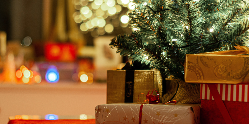 Perfect Holiday Gift